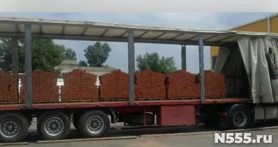 Грузоперевозки все виды автоперевозки грузов фото 4